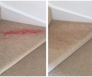 carpet-cleaning-company