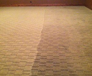 sofa-cleaning-company